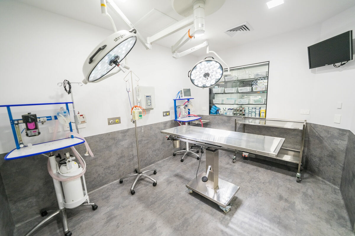 Post-Fire Recovery: Rogart Veterinary Practice Operating From Tain Post-Fire Recovery: Rogart Veterinary Practice Operating From Tain
