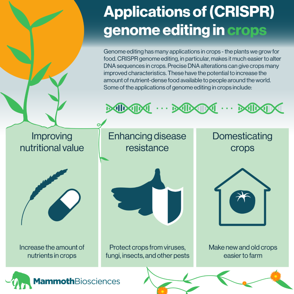Precise Gene Insertion: An Advanced Gene Editing Technology Precise Gene Insertion: An Advanced Gene Editing Technology