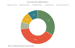 Problèmes Techniques À La RTBF : Causes, Conséquences Et Prévention Problèmes Techniques À La RTBF : Causes, Conséquences Et Prévention