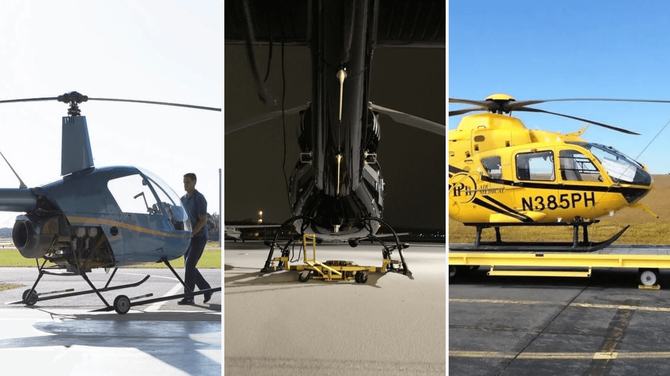 Protecting Livestock: Helicopter And Ground Evacuation In Swiss Alps Protecting Livestock: Helicopter And Ground Evacuation In Swiss Alps