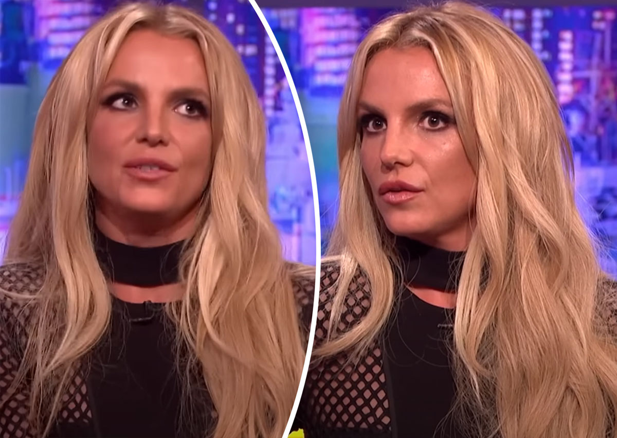 Public Reaction To Lizzo's Comments On Britney Spears And Janet Jackson Public Reaction To Lizzo's Comments On Britney Spears And Janet Jackson