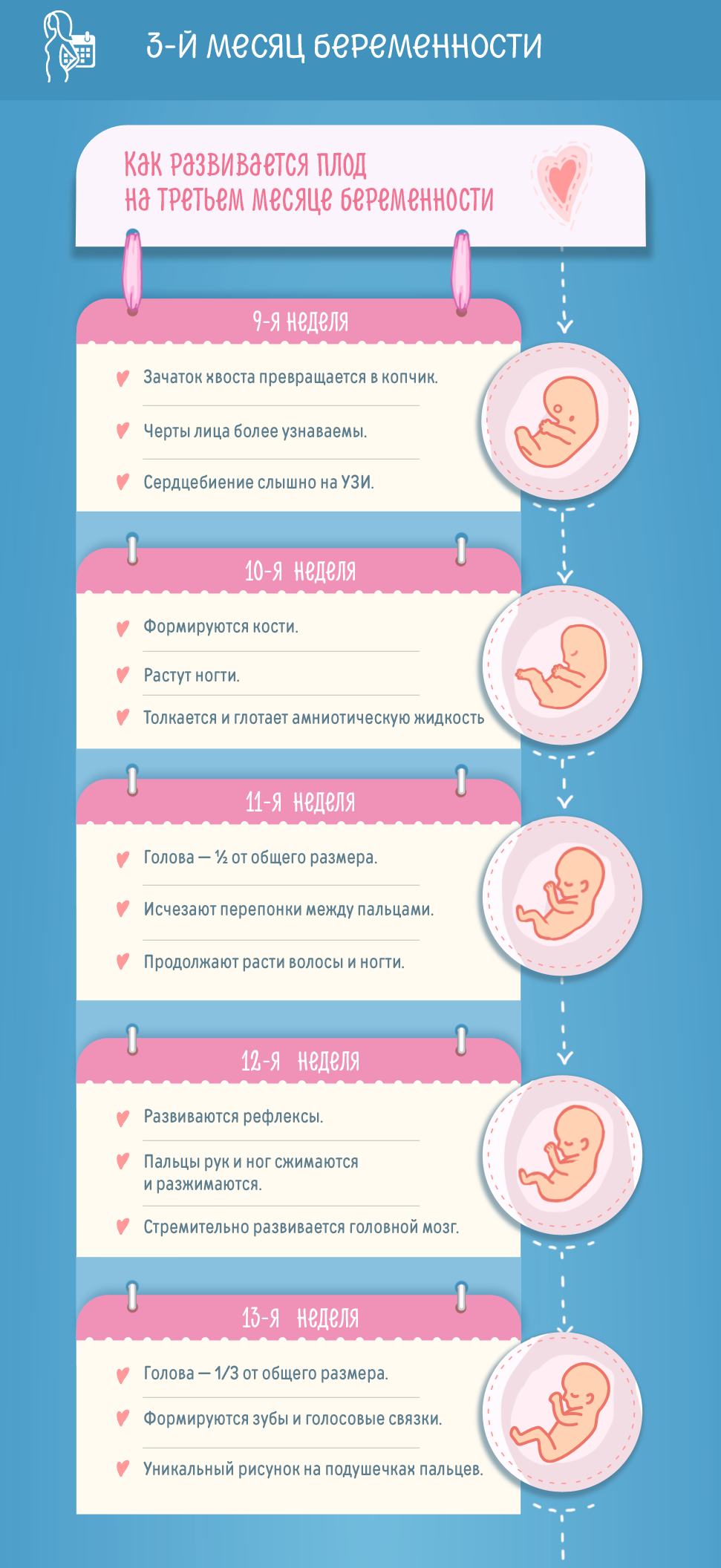Разрыв С Сыном Кадышевой: Модель Мерман О Беременности И Жизни В ОАЭ Разрыв С Сыном Кадышевой: Модель Мерман О Беременности И Жизни В ОАЭ