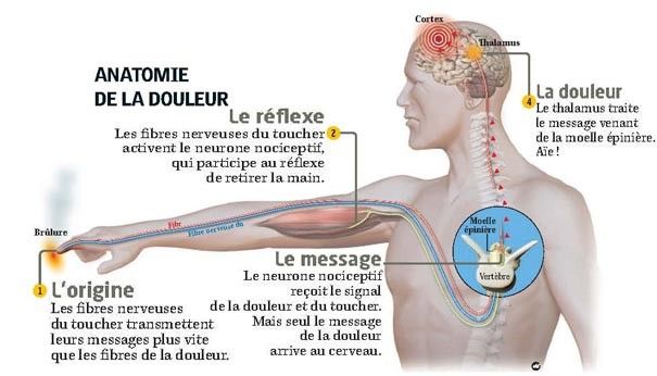 Réaction De Macron: Au-delà De La Douleur, L'émotion Après Rencontre Avec Des Victimes Israéliennes Réaction De Macron: Au-delà De La Douleur, L'émotion Après Rencontre Avec Des Victimes Israéliennes