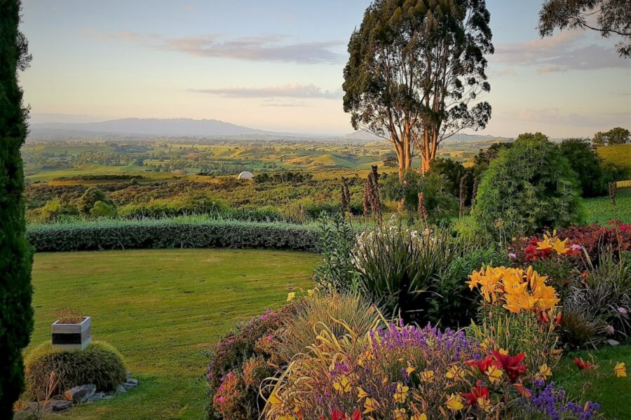 Relax And Recharge: A Peaceful Andalusian Farmstay Experience Relax And Recharge: A Peaceful Andalusian Farmstay Experience