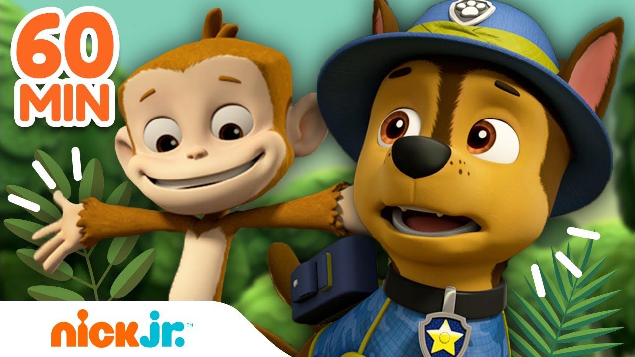 Rescates De Paw Patrol Piratas En YouTube: 15 Minutos En Español Rescates De Paw Patrol Piratas En YouTube: 15 Minutos En Español