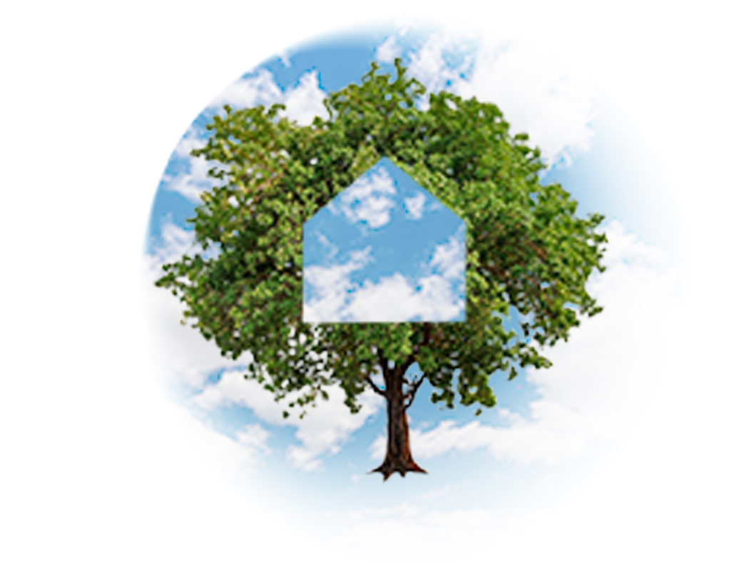 Rethinking Middle Management: Their Role In Modern Business Environments Rethinking Middle Management: Their Role In Modern Business Environments