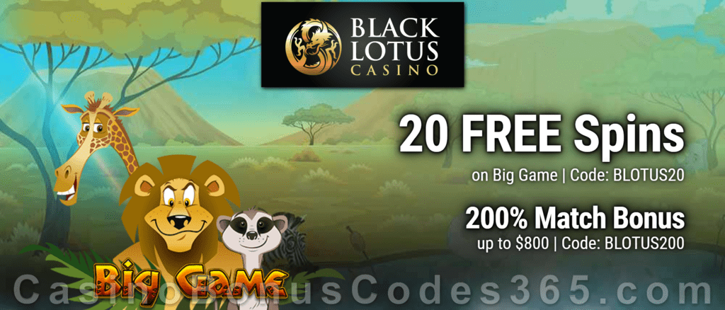 Review Of Black Lotus Casino: Is Their Welcome Bonus Worth It? Review Of Black Lotus Casino: Is Their Welcome Bonus Worth It?