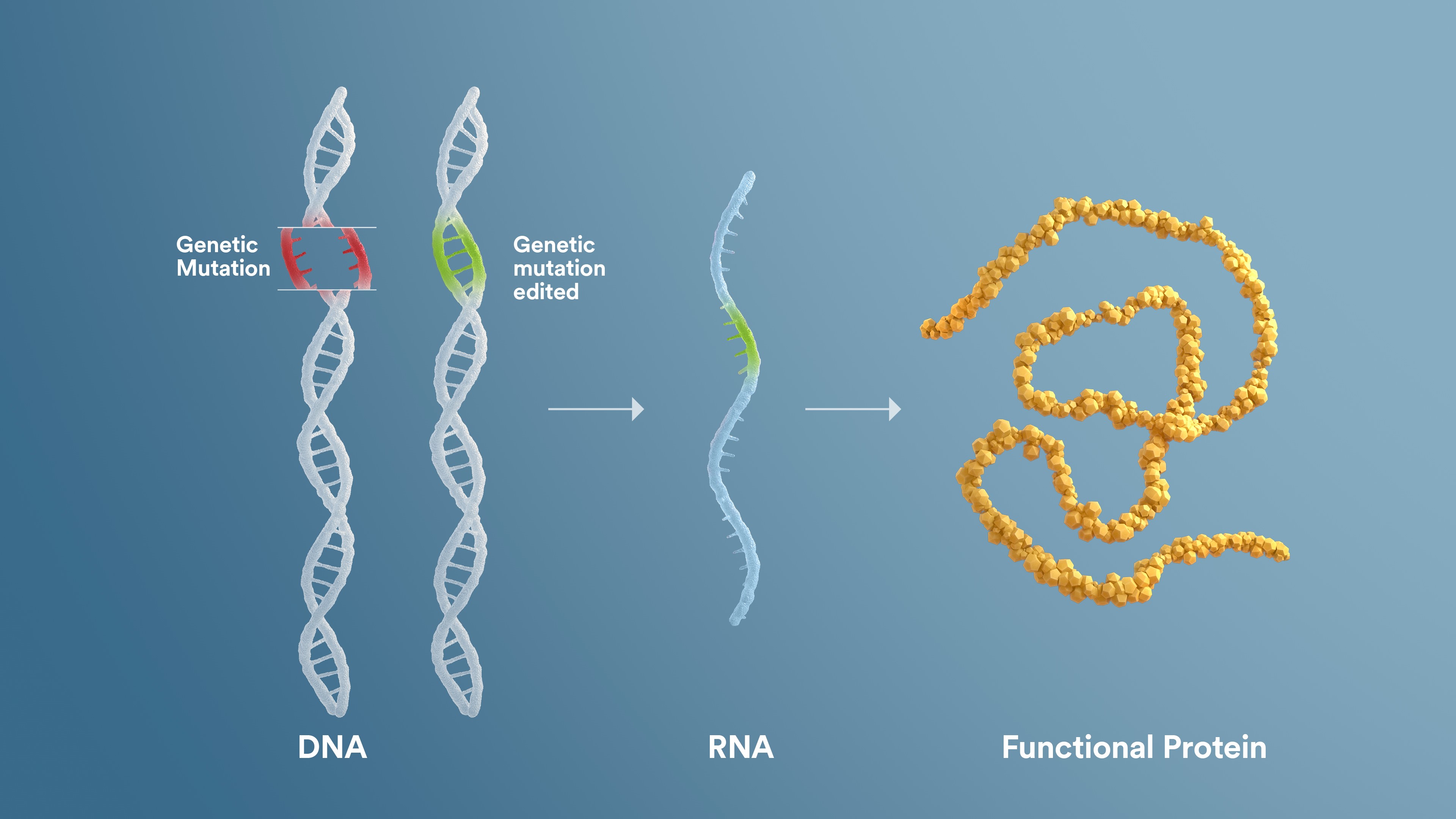 Revolutionizing Gene Editing: Precise Complete Gene Insertion Revolutionizing Gene Editing: Precise Complete Gene Insertion