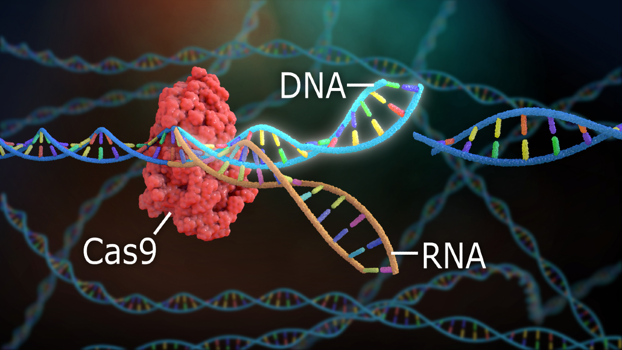 Revolutionizing Gene Therapy: A Powerful CRISPR System For Whole-Gene Insertion Revolutionizing Gene Therapy: A Powerful CRISPR System For Whole-Gene Insertion