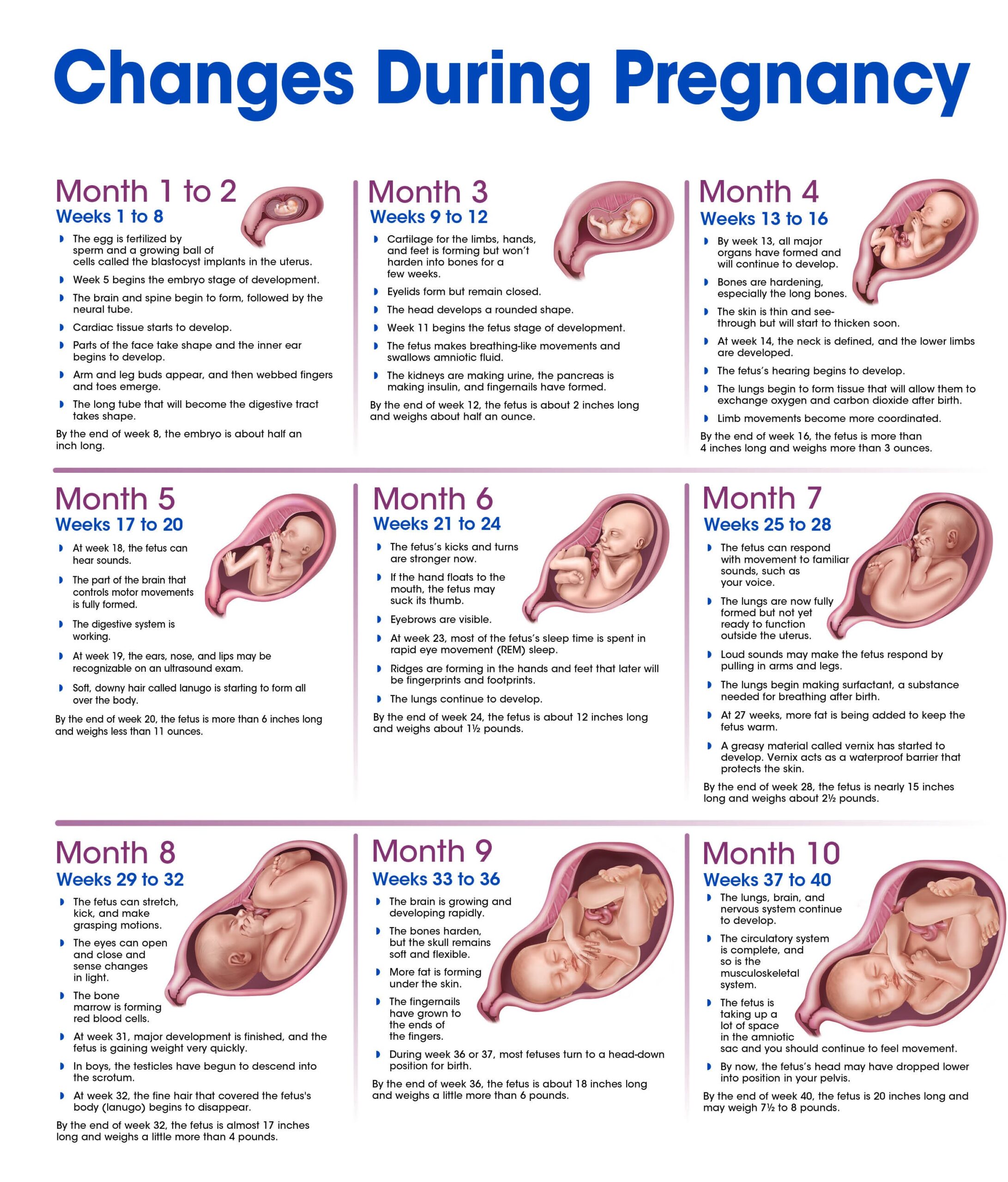Rihanna's Third Pregnancy: Journey To Motherhood Rihanna's Third Pregnancy: Journey To Motherhood