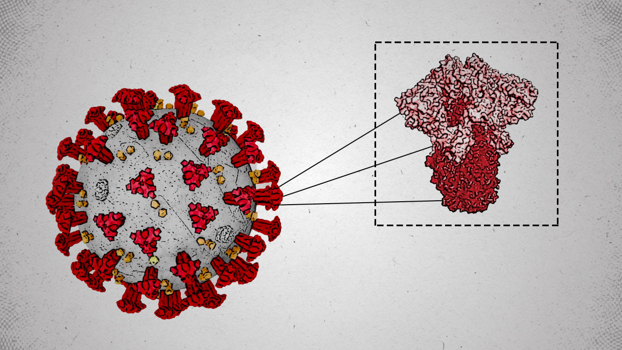 Rising COVID-19 Cases: A New Variant Is The Suspect, Says WHO Rising COVID-19 Cases: A New Variant Is The Suspect, Says WHO