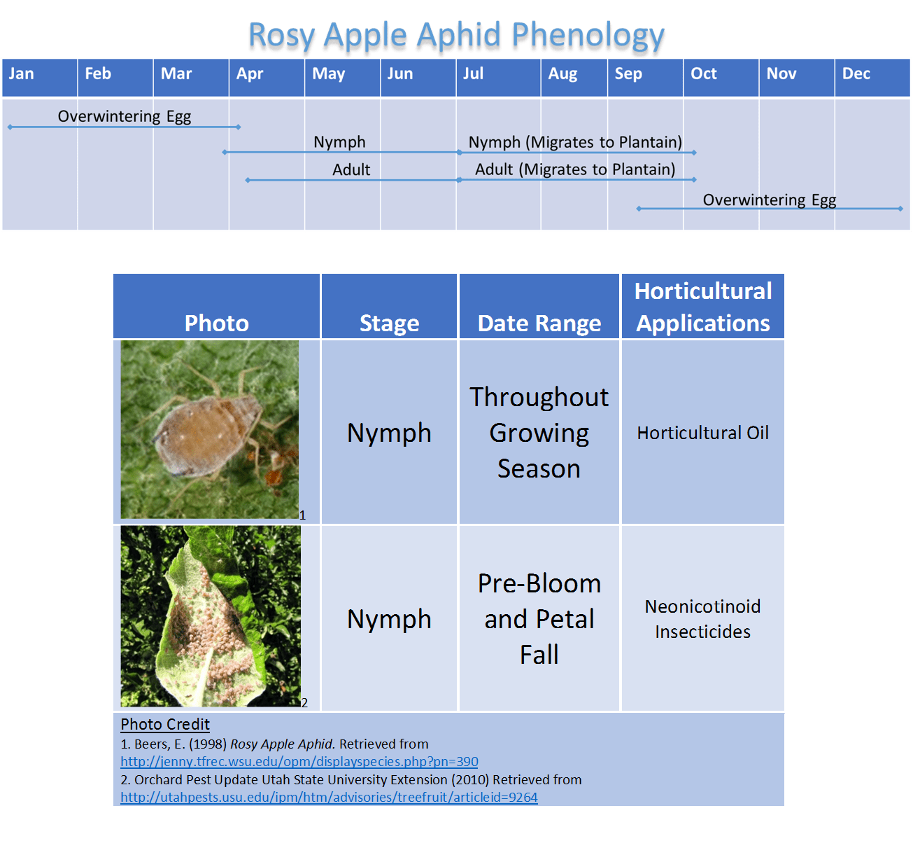 Rosy Apple Aphid Infestation: Significant Reduction In Apple Production Expected Rosy Apple Aphid Infestation: Significant Reduction In Apple Production Expected