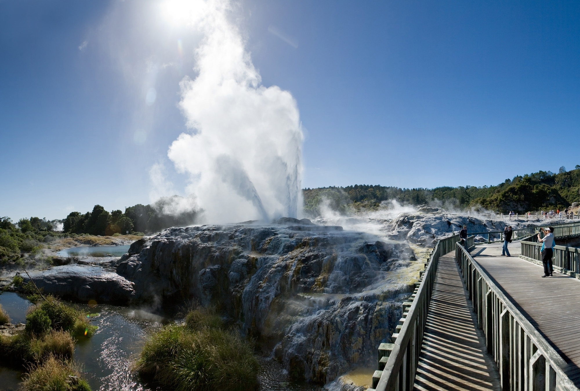 Rotorua, New Zealand: A Deep Dive Into Culture And Geothermal Wonders Rotorua, New Zealand: A Deep Dive Into Culture And Geothermal Wonders