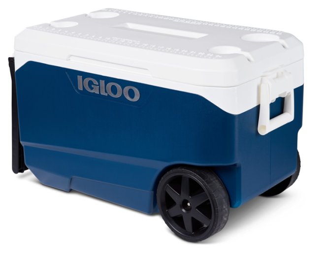 Safety Notice: Igloo Coolers Recalled By Walmart Nationwide Safety Notice: Igloo Coolers Recalled By Walmart Nationwide