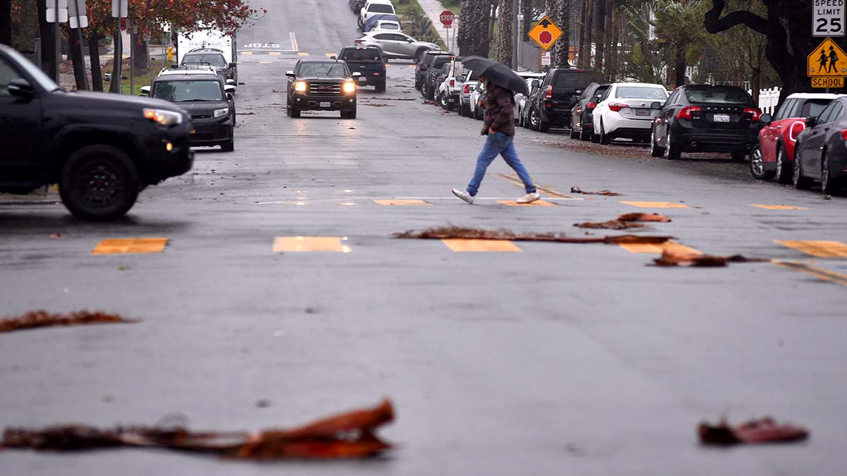 San Diego County Weather Forecast: Cool, Wet, And Windy San Diego County Weather Forecast: Cool, Wet, And Windy