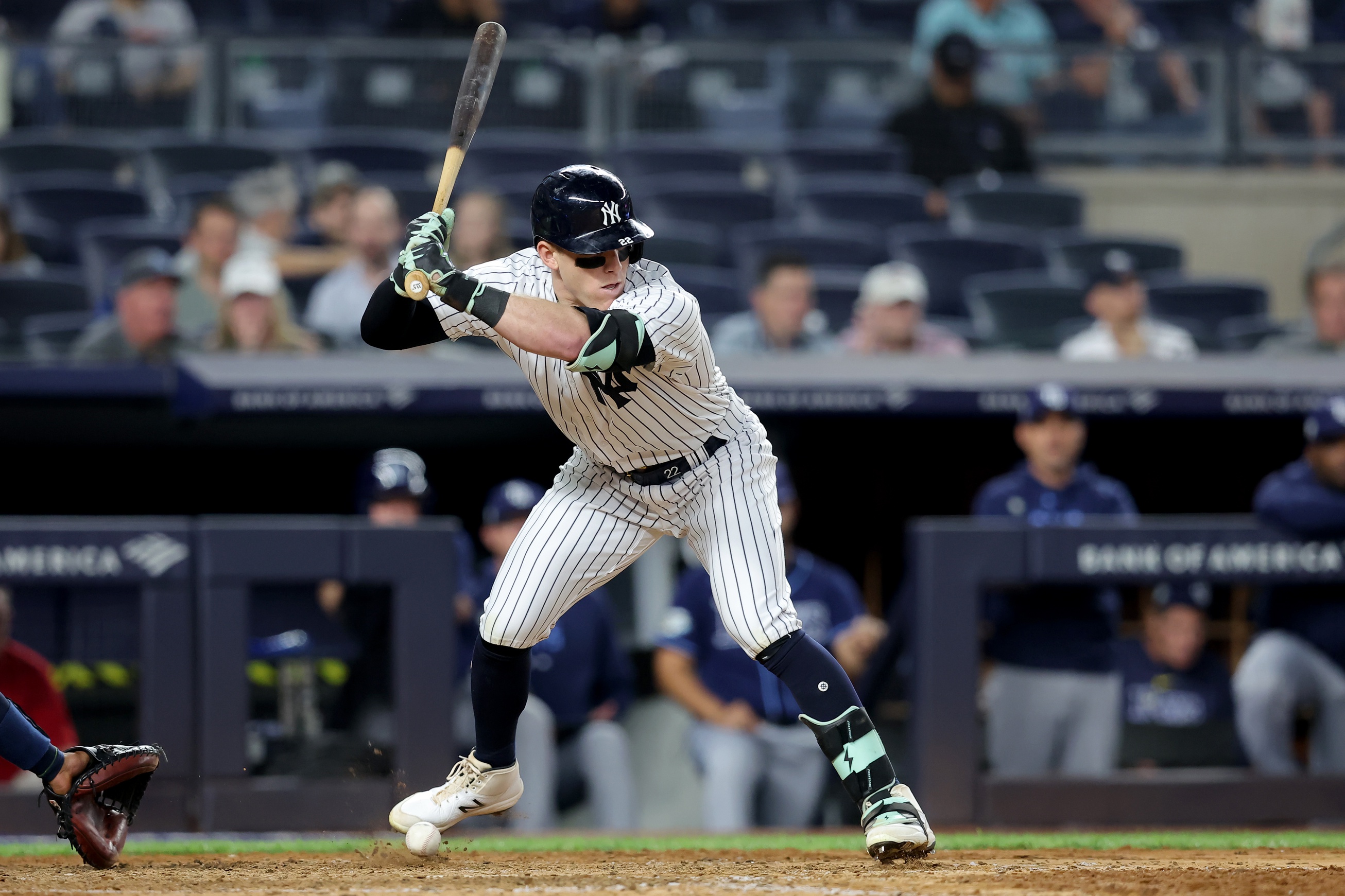 San Diego Padres Vs. New York Yankees Prediction: 7-Game Winning Streak?