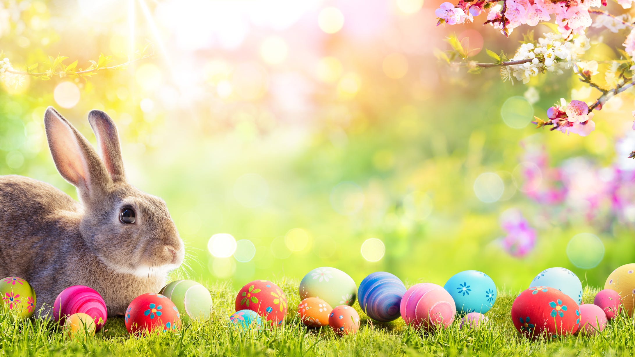 Schiphol, Roads & Ferries: Expect Peak Travel On Easter Weekend Schiphol, Roads & Ferries: Expect Peak Travel On Easter Weekend