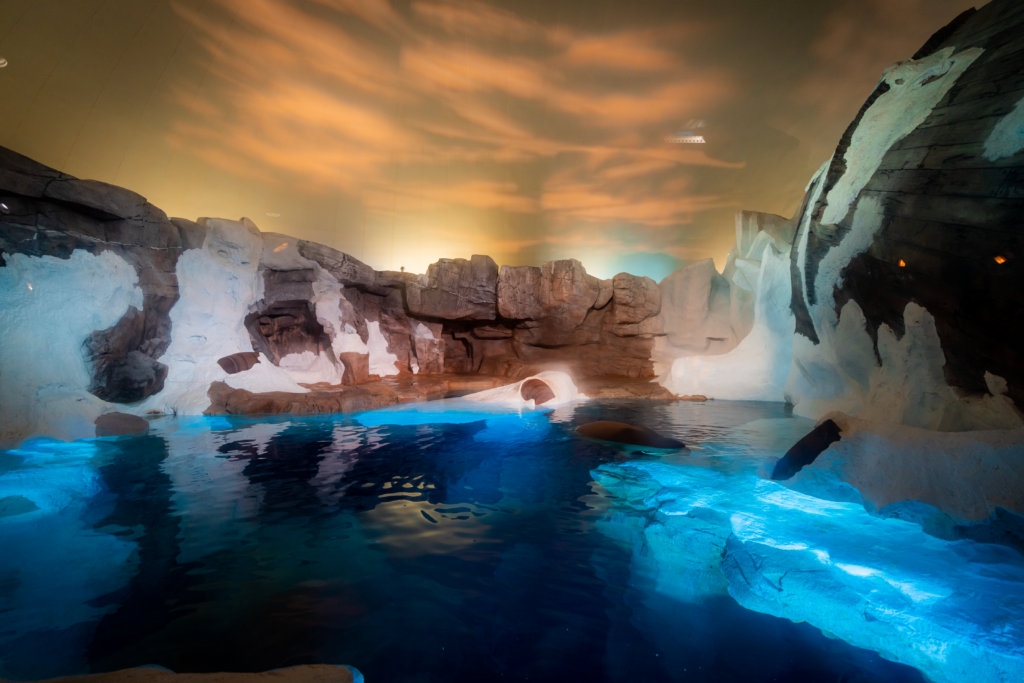 SeaWorld Orlando's Expedition Odyssey: Discover The Wonders Of The Arctic SeaWorld Orlando's Expedition Odyssey: Discover The Wonders Of The Arctic