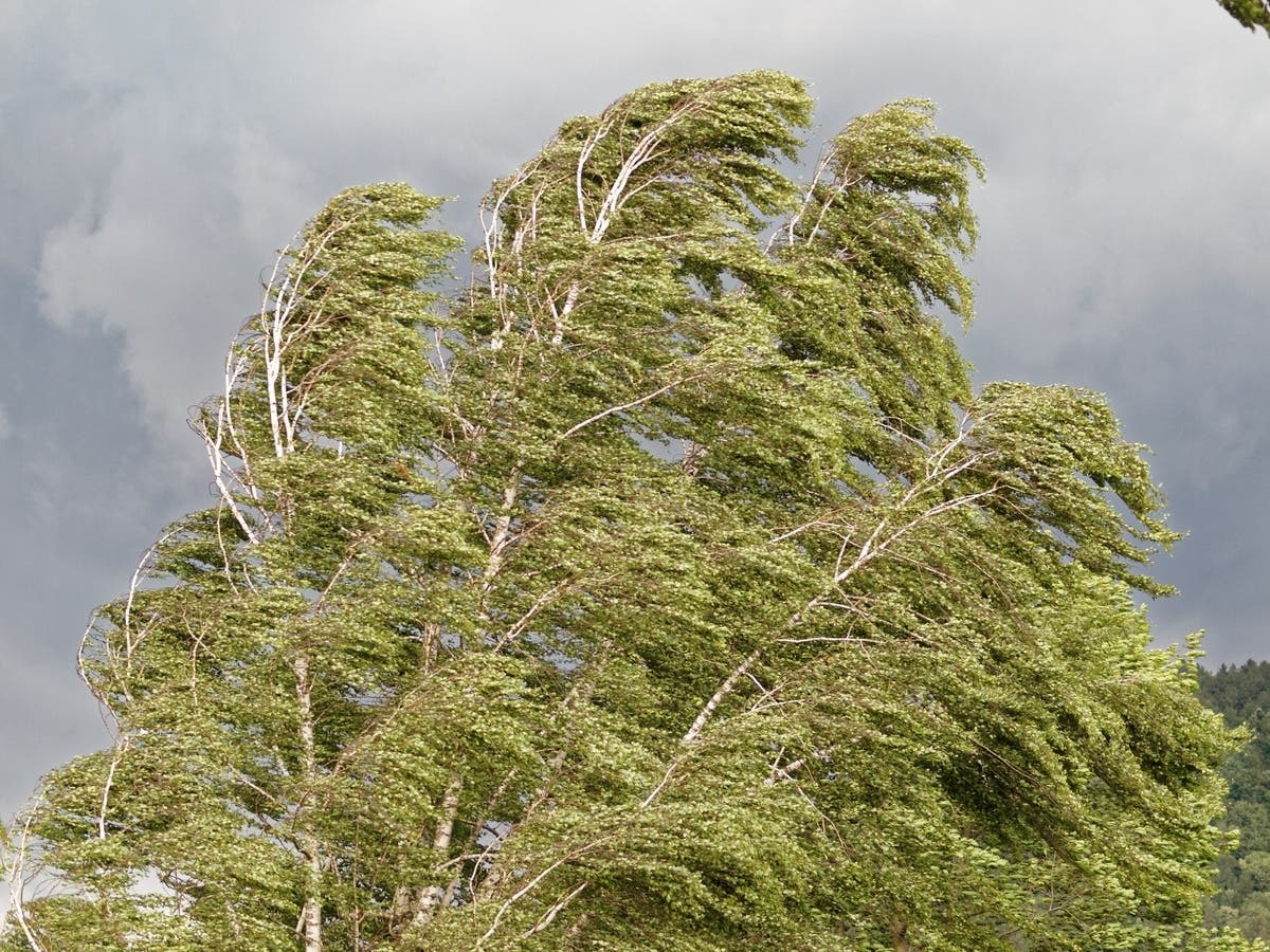 Seattle's Wet Weekend: Weather Forecast And Impacts