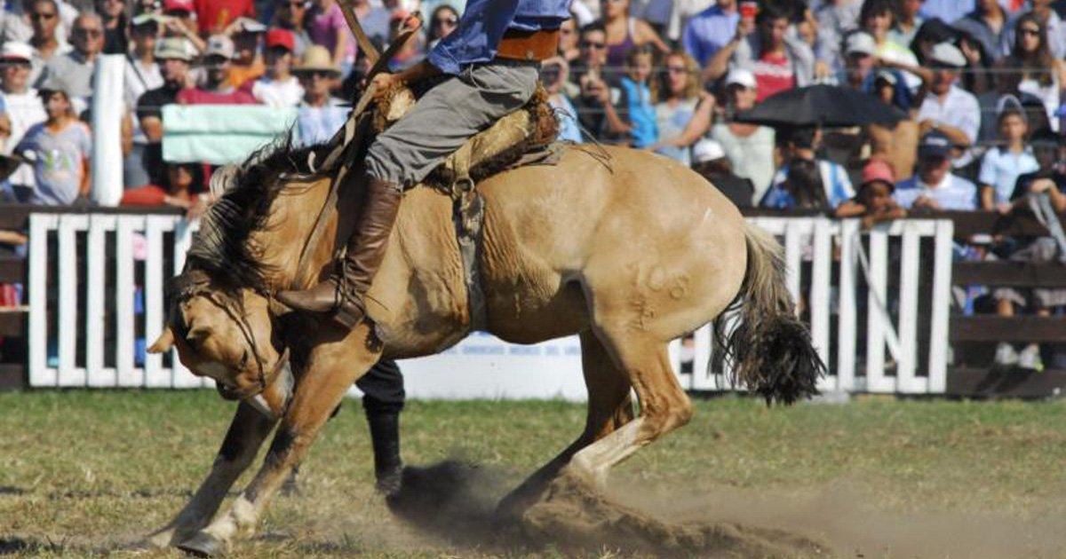 Semana De Turismo En Uruguay: ¿Por Qué Se Llama Así Y Qué Revela Sobre Su Laicismo? Semana De Turismo En Uruguay: ¿Por Qué Se Llama Así Y Qué Revela Sobre Su Laicismo?