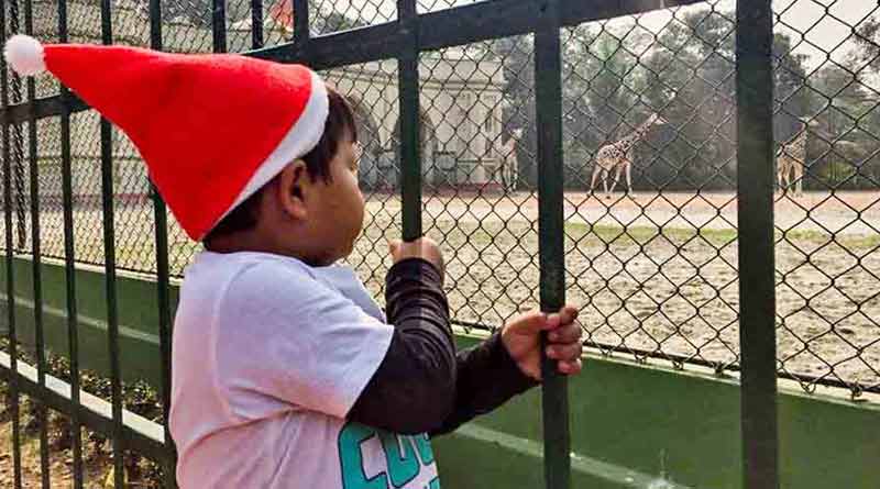 Sharp Temperature Rise In South Bengal: 38°C On Holi Sharp Temperature Rise In South Bengal: 38°C On Holi