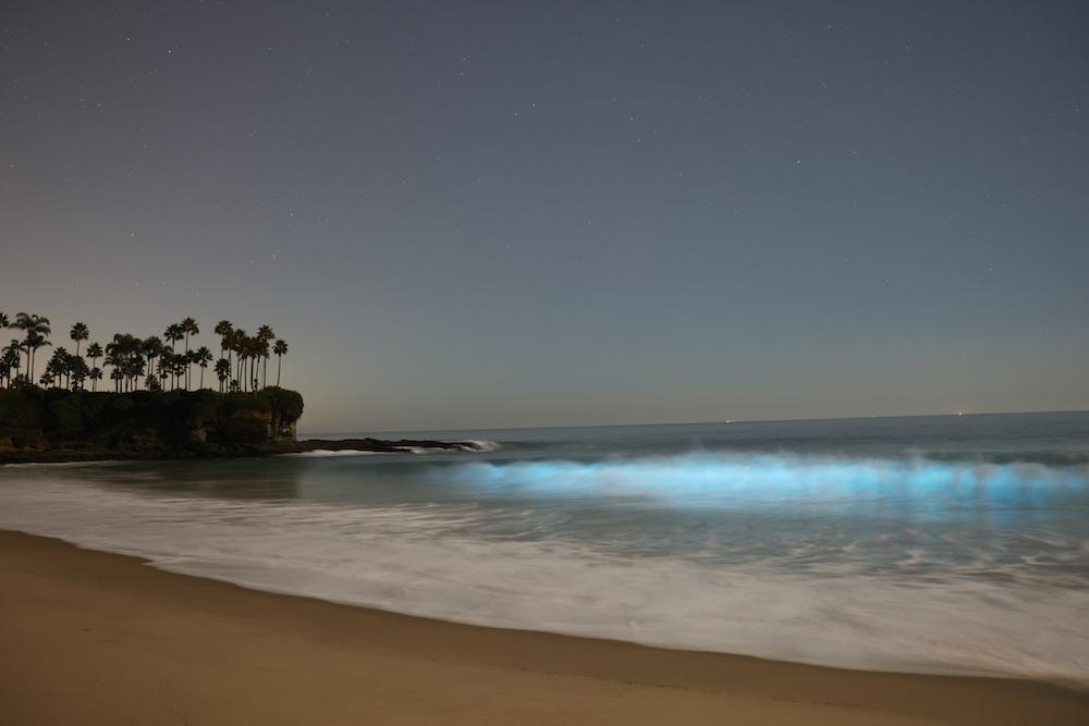 Southern California Bioluminescent Waves: Peak Seasons & Best Beaches Southern California Bioluminescent Waves: Peak Seasons & Best Beaches