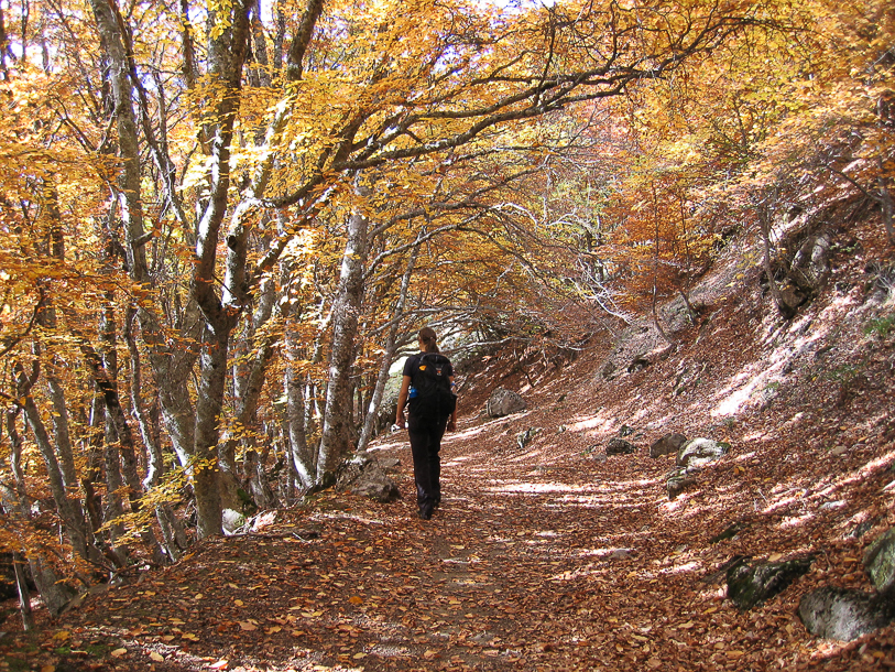 Southern French Alps Weather: Storm Brings Late Season Snow Southern French Alps Weather: Storm Brings Late Season Snow