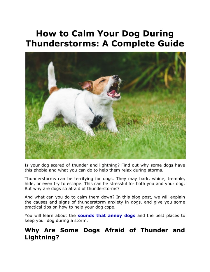 Stay Safe During Bay Area Severe Thunderstorms: A Comprehensive Guide Stay Safe During Bay Area Severe Thunderstorms: A Comprehensive Guide