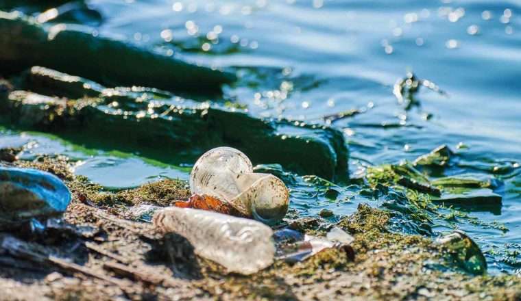 Studio Sulla Distribuzione Delle Microplastiche Nelle Acque Studio Sulla Distribuzione Delle Microplastiche Nelle Acque