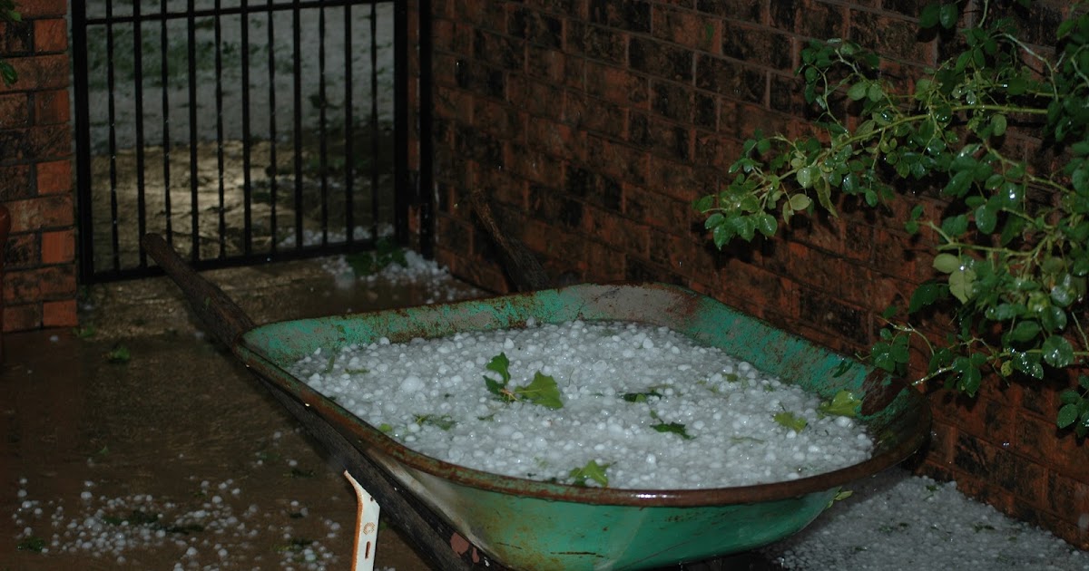 Summer Hailstorms: Protecting Your Property And Landscape Summer Hailstorms: Protecting Your Property And Landscape