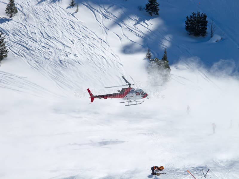 Swiss Alps: Helicopter And Ground Evacuation Of Livestock Due To Landslide Risk Swiss Alps: Helicopter And Ground Evacuation Of Livestock Due To Landslide Risk