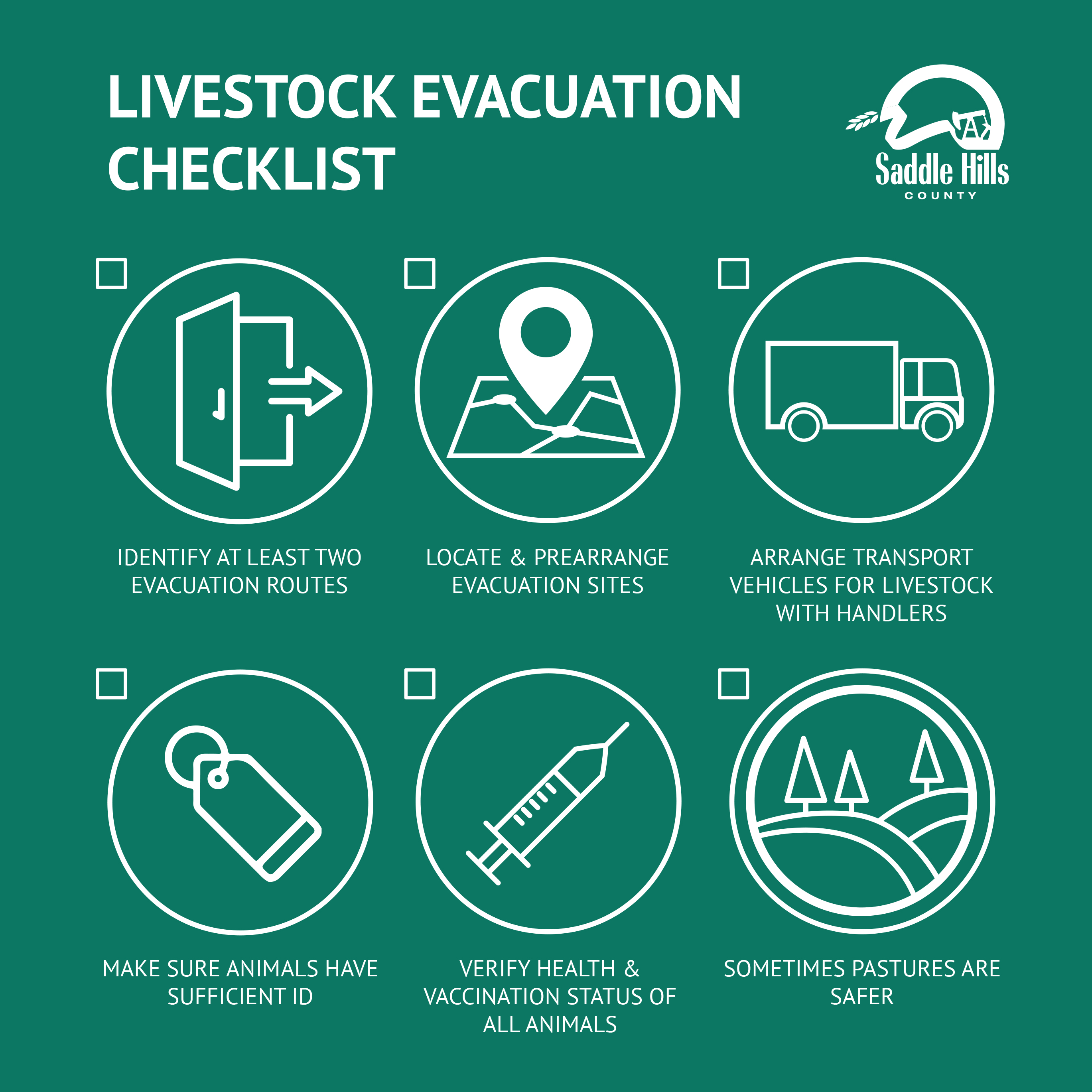 Swiss Alps Landslide: Large-Scale Livestock Evacuation Underway Swiss Alps Landslide: Large-Scale Livestock Evacuation Underway