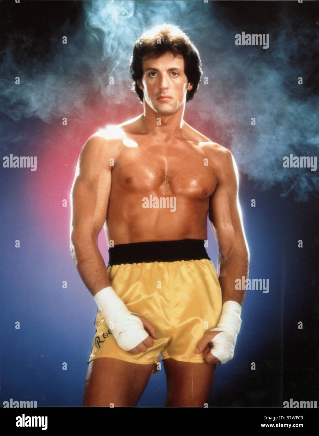 Sylvester Stallone: A Directing Flop Beyond Rocky And Rambo Sylvester Stallone: A Directing Flop Beyond Rocky And Rambo