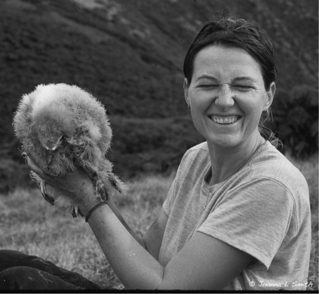 Te Ipukarea Society's Study Of Understudied Seabird Species Te Ipukarea Society's Study Of Understudied Seabird Species