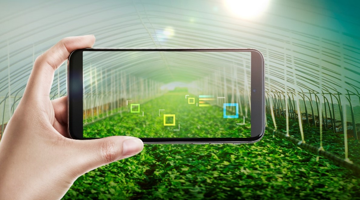 Telus Announces $5 Billion Investment In Network Infrastructure Over Five Years Telus Announces $5 Billion Investment In Network Infrastructure Over Five Years