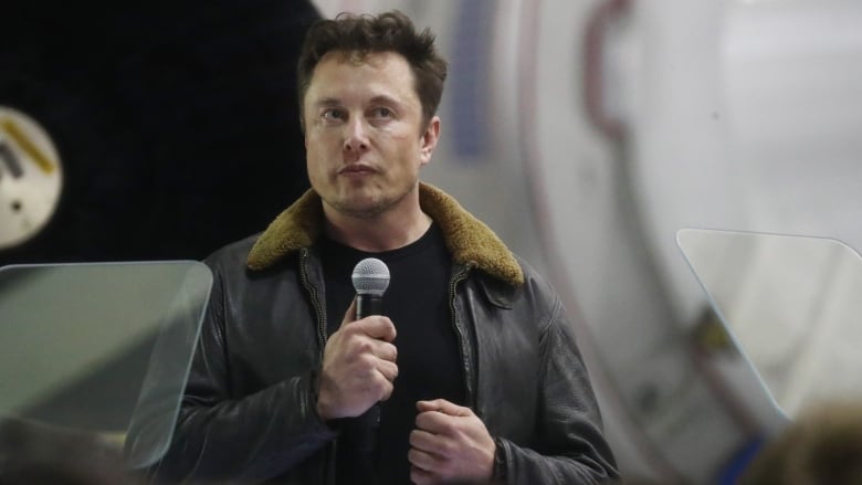 Tesla Board Denies Plans To Replace Elon Musk Tesla Board Denies Plans To Replace Elon Musk