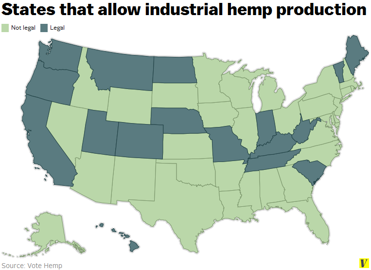 The Current State Of Hemp Laws In Georgia: What Consumers Need To Know The Current State Of Hemp Laws In Georgia: What Consumers Need To Know