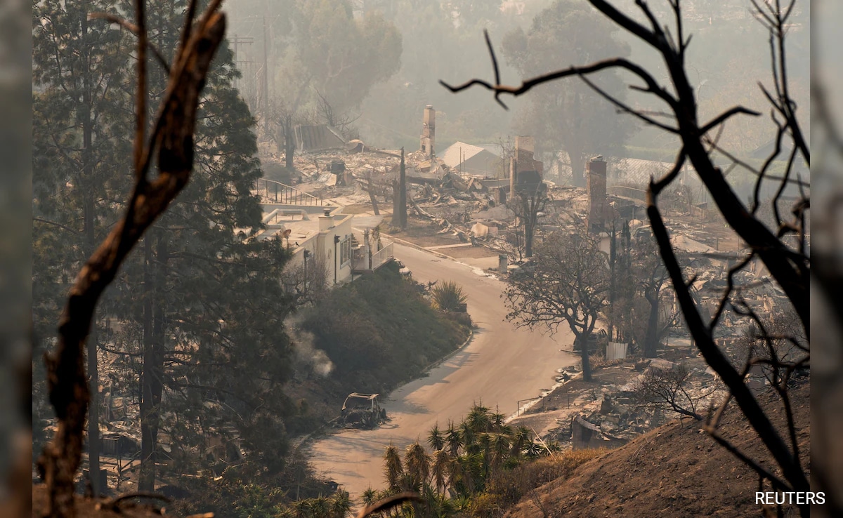 The Dark Side Of Betting: The Los Angeles Wildfire Example The Dark Side Of Betting: The Los Angeles Wildfire Example