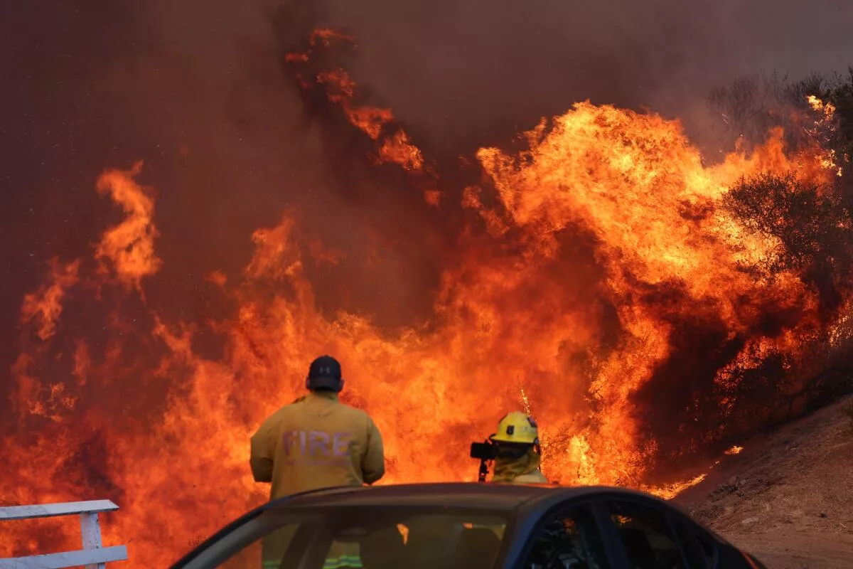 The Growing Market Of Disaster Betting: Focusing On Los Angeles Wildfires The Growing Market Of Disaster Betting: Focusing On Los Angeles Wildfires