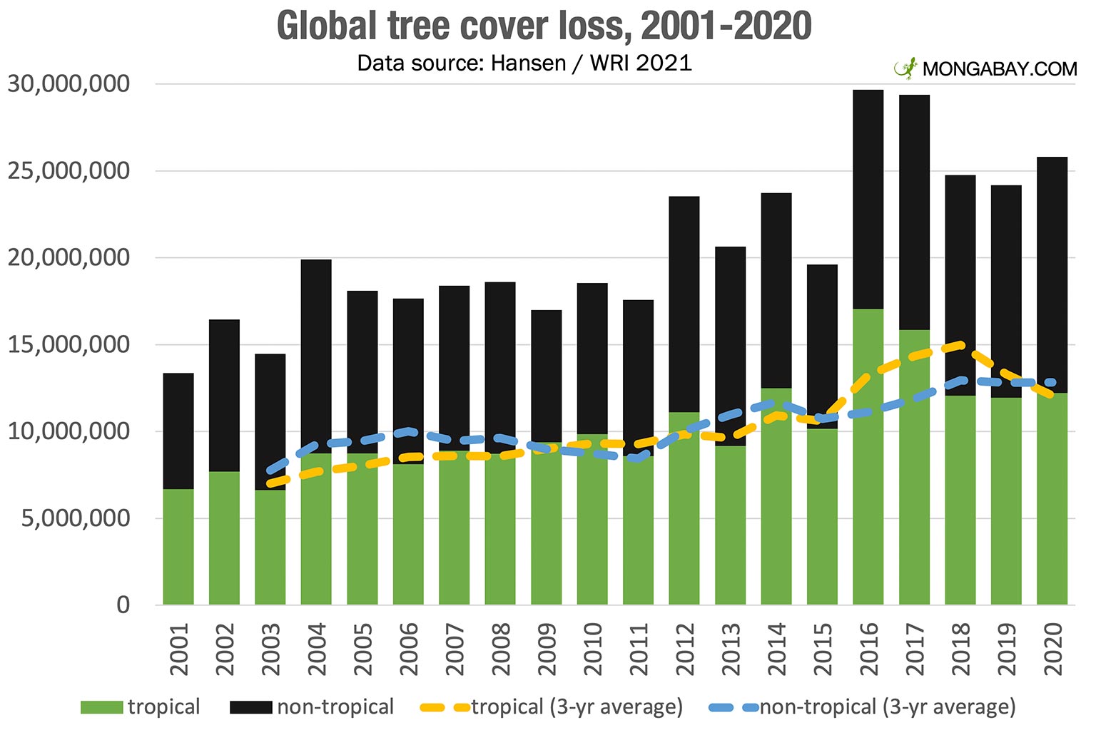 The Impact Of Wildfires: Driving Record-High Global Forest Loss The Impact Of Wildfires: Driving Record-High Global Forest Loss