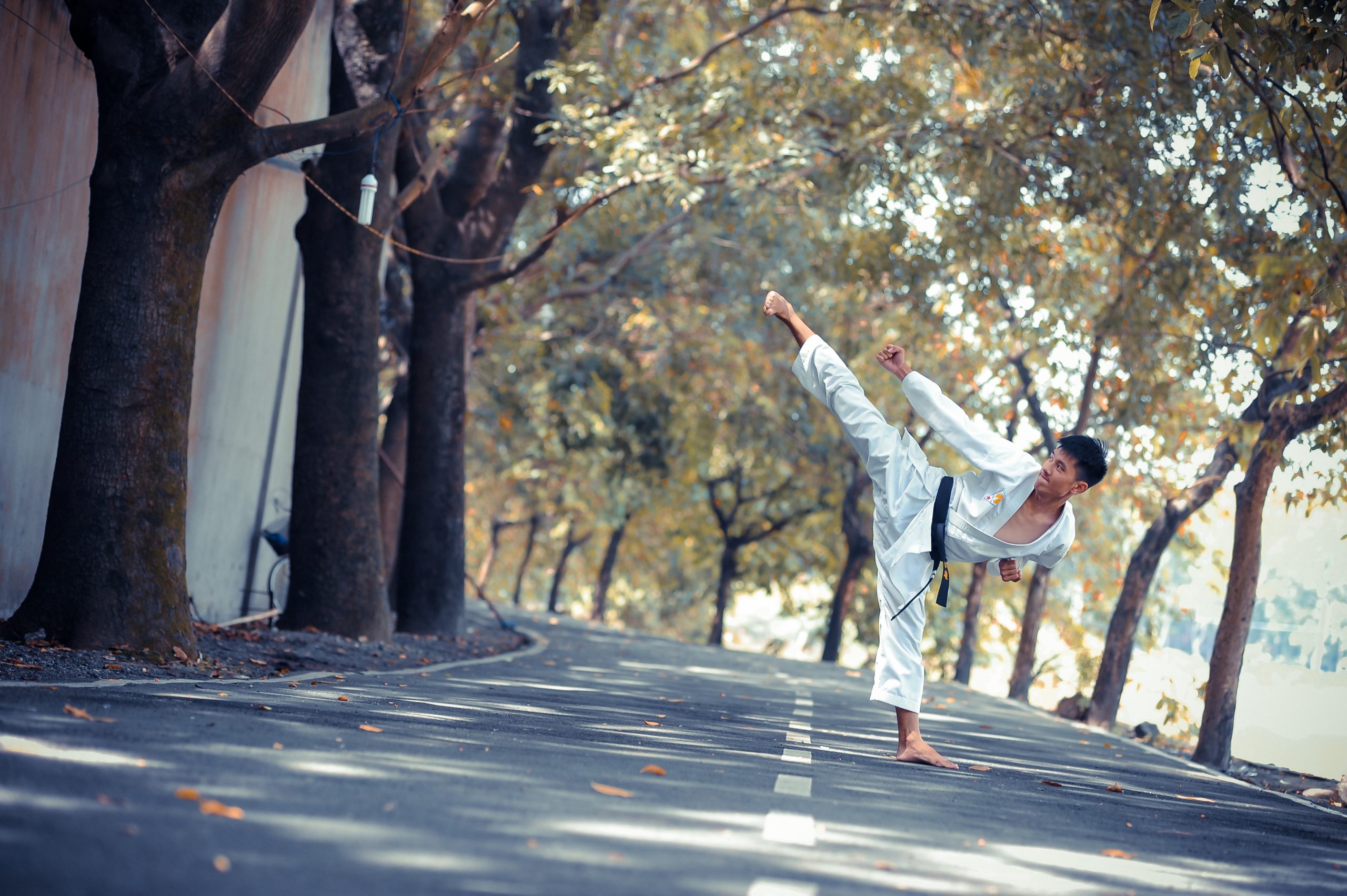 The Karate Kid: A Comprehensive Guide To The Film And Its Legacy The Karate Kid: A Comprehensive Guide To The Film And Its Legacy