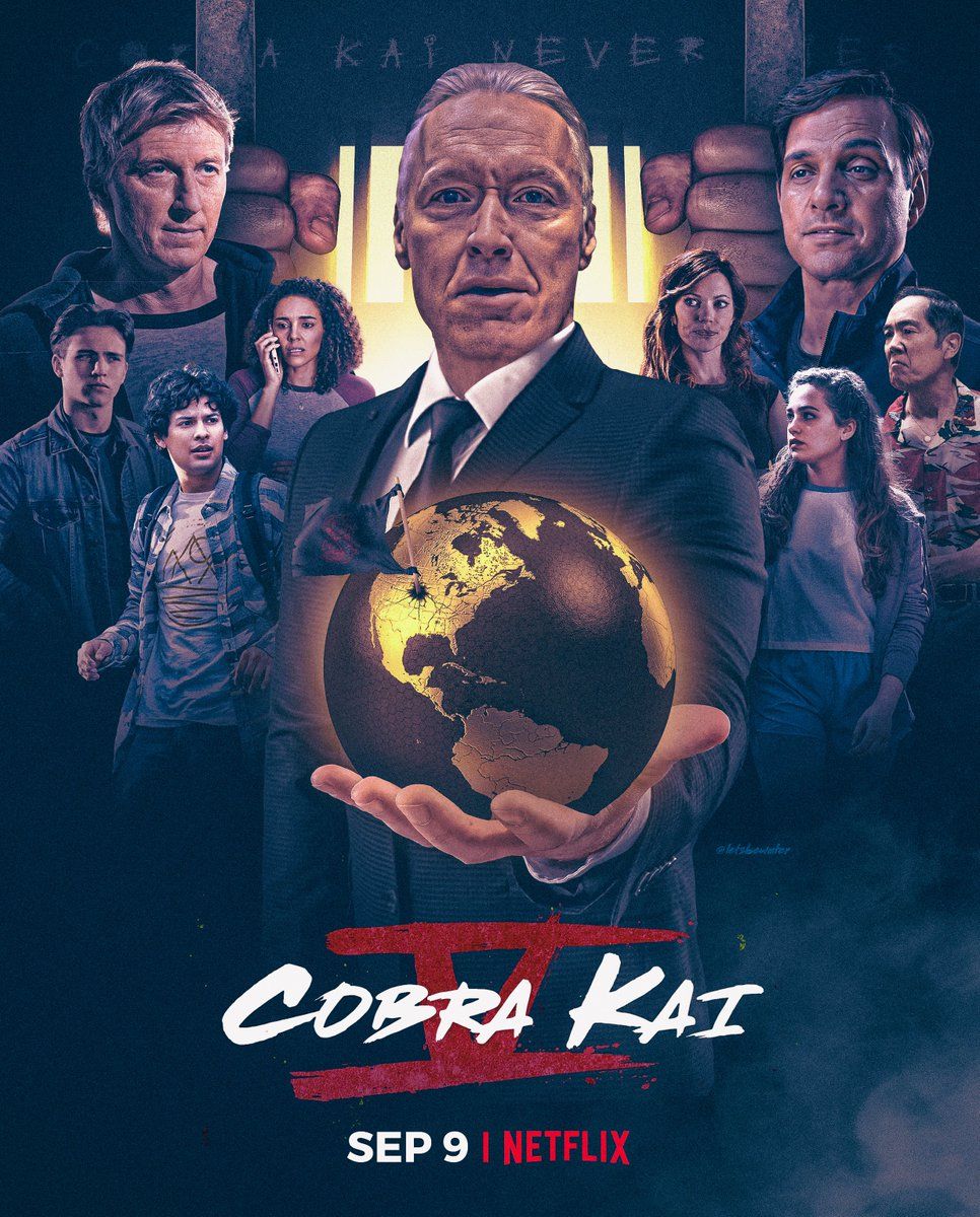 The Karate Kid And Cobra Kai: Exploring The Netflix Connection The Karate Kid And Cobra Kai: Exploring The Netflix Connection