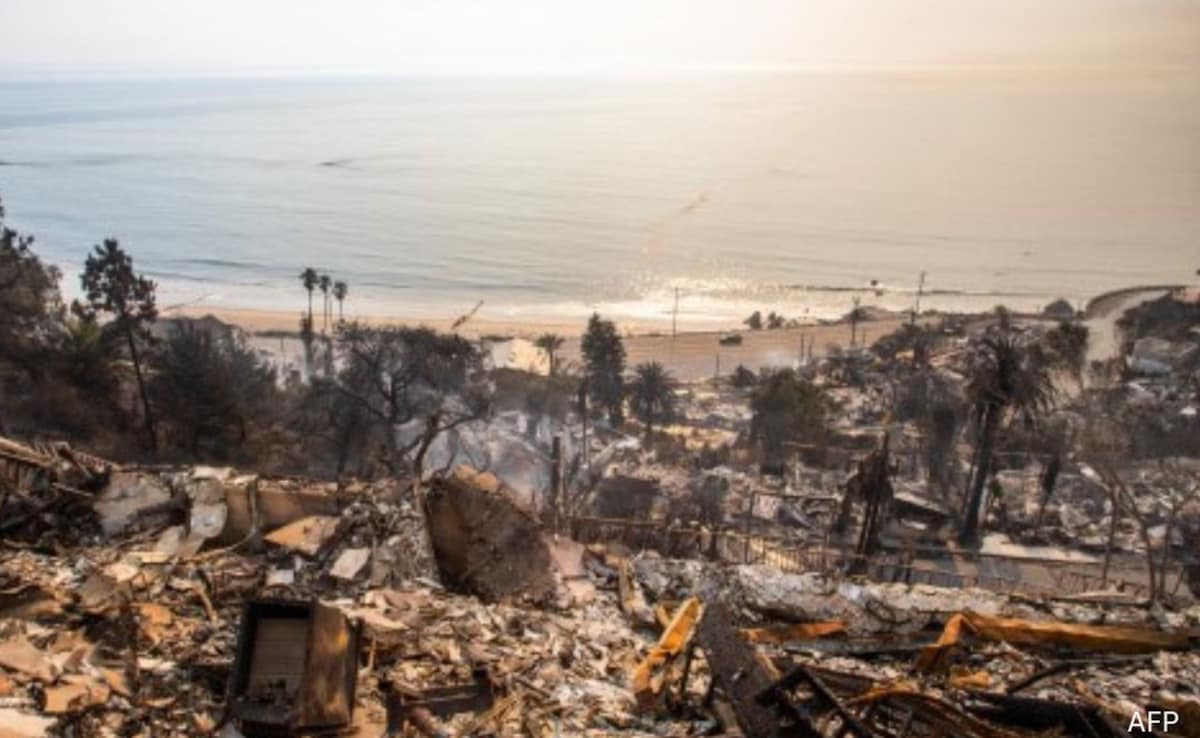 The Los Angeles Wildfires: A Case Study In The Growing Market Of Catastrophe Betting The Los Angeles Wildfires: A Case Study In The Growing Market Of Catastrophe Betting