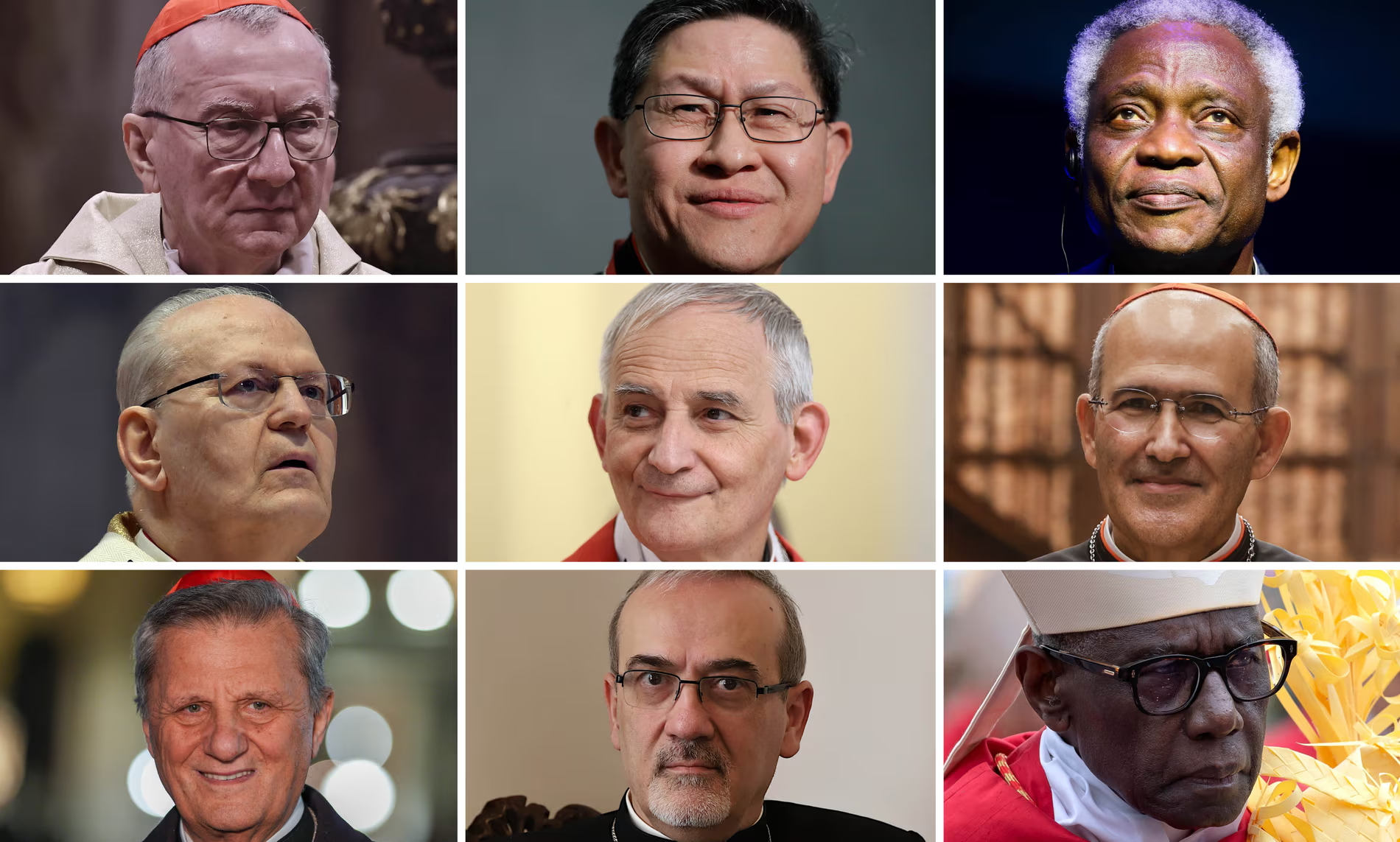 The Next Pope: Examining Potential Candidates And Their Platforms The Next Pope: Examining Potential Candidates And Their Platforms