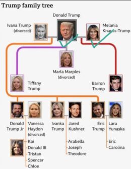 The Trump Family Tree: Understanding The Latest Addition, Alexander The Trump Family Tree: Understanding The Latest Addition, Alexander