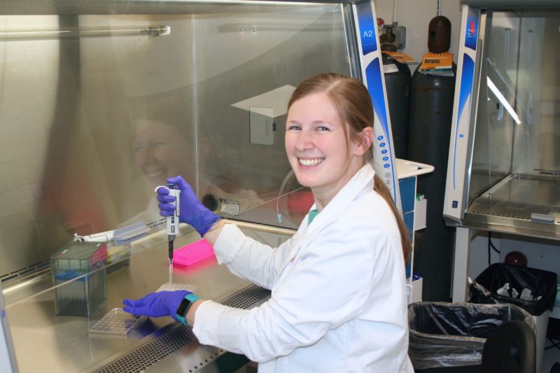 The Truth About US Funding For Transgender Animal Research Projects The Truth About US Funding For Transgender Animal Research Projects
