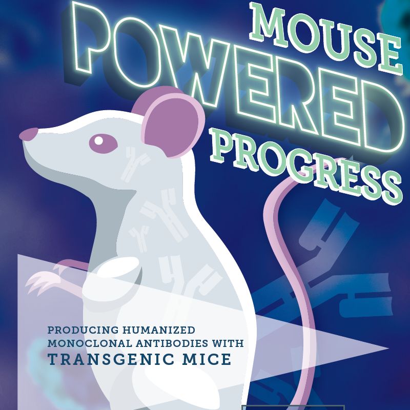 The Truth About US Funding For Transgender Mouse Research The Truth About US Funding For Transgender Mouse Research
