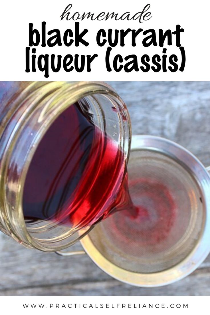 The Ultimate Guide To Cassis Blackcurrant Cocktails The Ultimate Guide To Cassis Blackcurrant Cocktails
