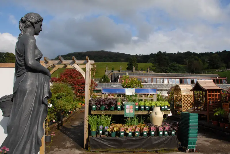 Theft At Hayes Garden World: Update On Ambleside Couple's Case Theft At Hayes Garden World: Update On Ambleside Couple's Case