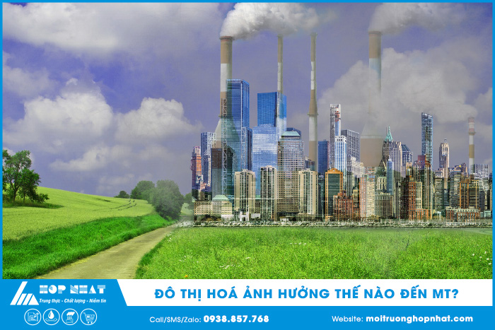 Thị Trường Tiêu Hôm Nay: Giá Tăng, Triển Vọng Tích Cực Cho Nông Dân Thị Trường Tiêu Hôm Nay: Giá Tăng, Triển Vọng Tích Cực Cho Nông Dân